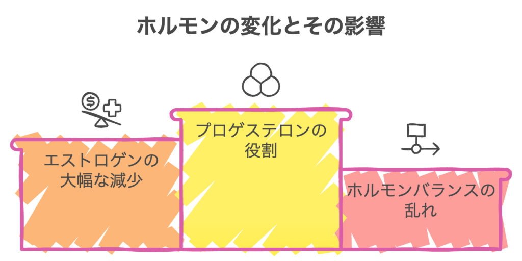 ホルモンの変化とその影響の図解